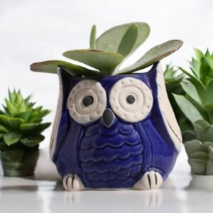 Jhaji Ceramics Owl Design Green Ceramic Pot for Home, Indoor DÃ©cor & Gifting (Size: Small plant not included)